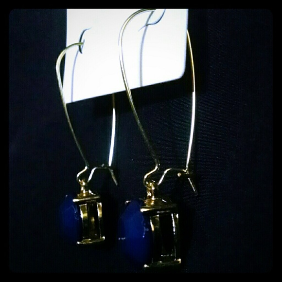 Beautiful elegant earrings